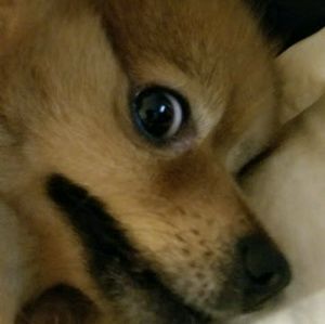 Meet your Posher, Kate